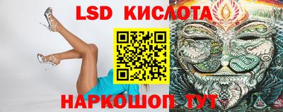 амф Новодвинск
