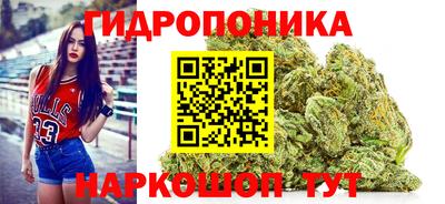 амф Новодвинск