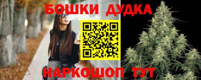 амф Новодвинск