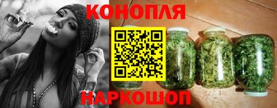 тгк Новозыбков