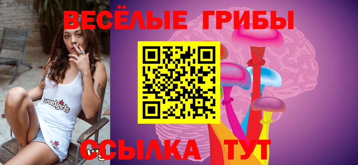 Галлюциногенные грибы мухоморы Рыбинск